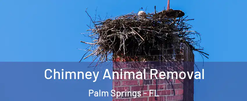 Chimney Animal Removal Palm Springs - FL