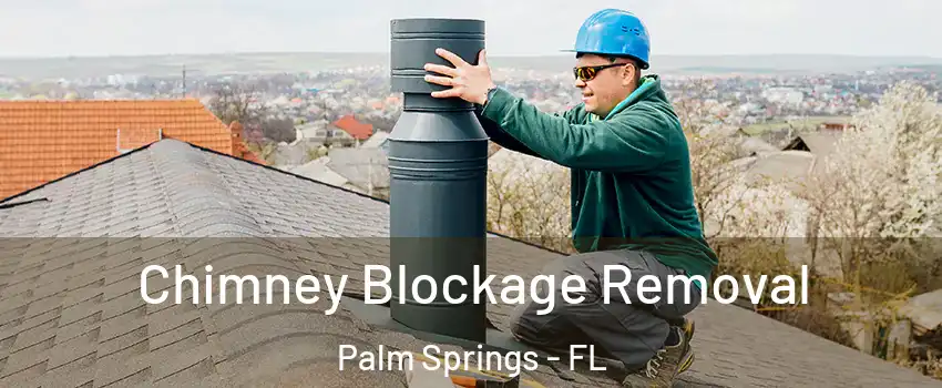  Chimney Blockage Removal Palm Springs - FL