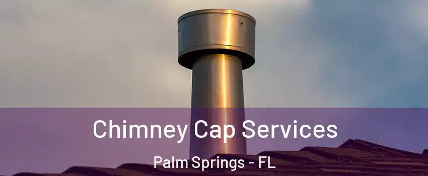  Chimney Cap Services Palm Springs - FL