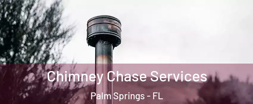  Chimney Chase Services Palm Springs - FL
