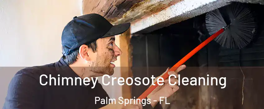  Chimney Creosote Cleaning Palm Springs - FL