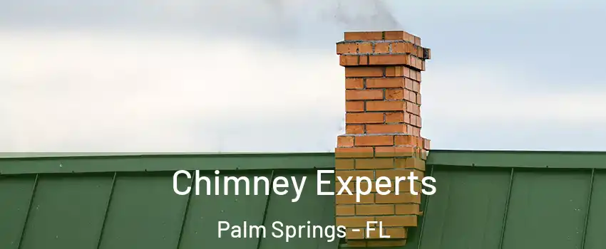  Chimney Experts Palm Springs - FL
