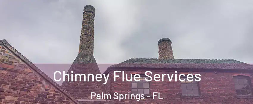  Chimney Flue Services Palm Springs - FL