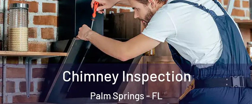  Chimney Inspection Palm Springs - FL
