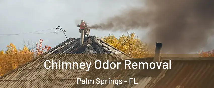  Chimney Odor Removal Palm Springs - FL