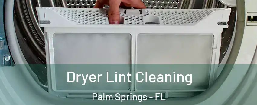  Dryer Lint Cleaning Palm Springs - FL