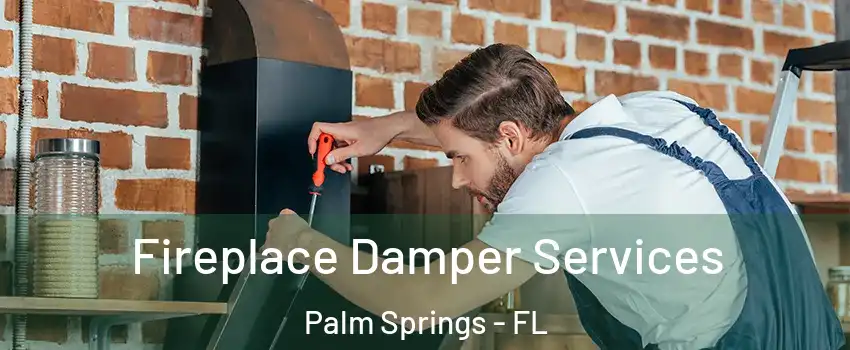  Fireplace Damper Services Palm Springs - FL