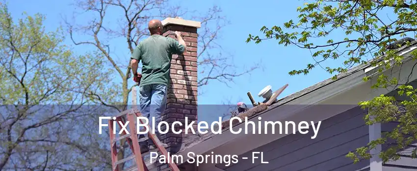  Fix Blocked Chimney Palm Springs - FL