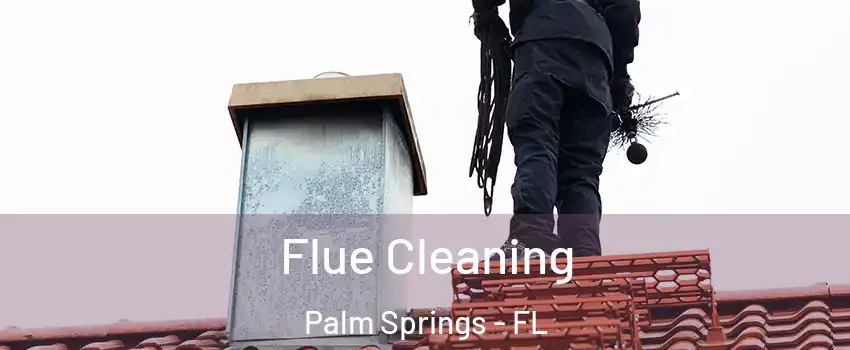  Flue Cleaning Palm Springs - FL