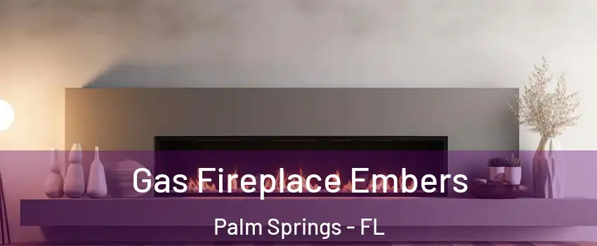  Gas Fireplace Embers Palm Springs - FL