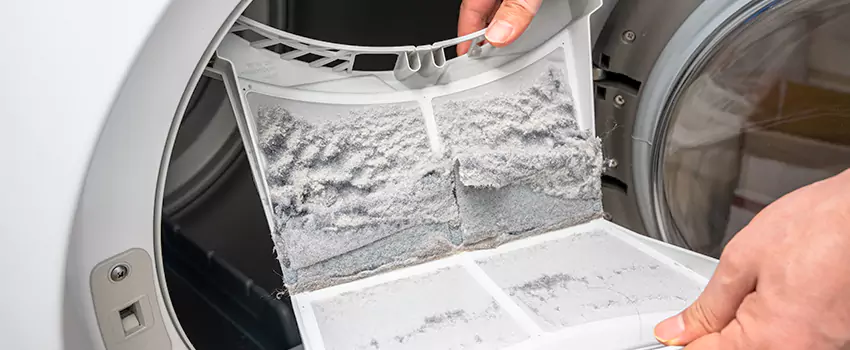 Best Dryer Lint Removal Company in Palm Springs, Florida