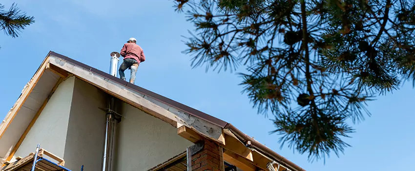 Birds Removal Contractors from Chimney in Palm Springs, FL