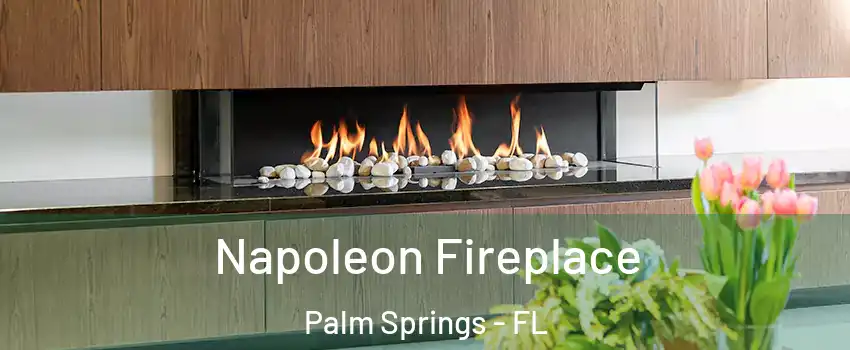  Napoleon Fireplace Palm Springs - FL